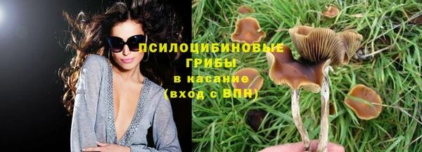 бутират Струнино